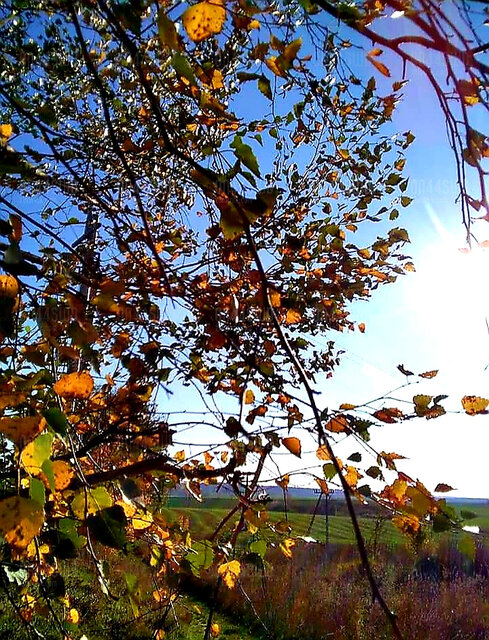 IMG-20211013-WA0004.jpg - On44swd