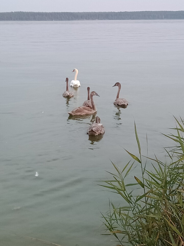 IMG20210915184619.jpg - lookin_