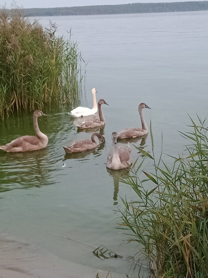 IMG20210915184610.jpg - lookin_