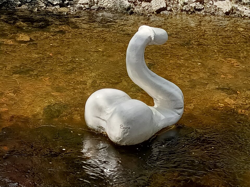 IMG20210602141832.jpg - piteer