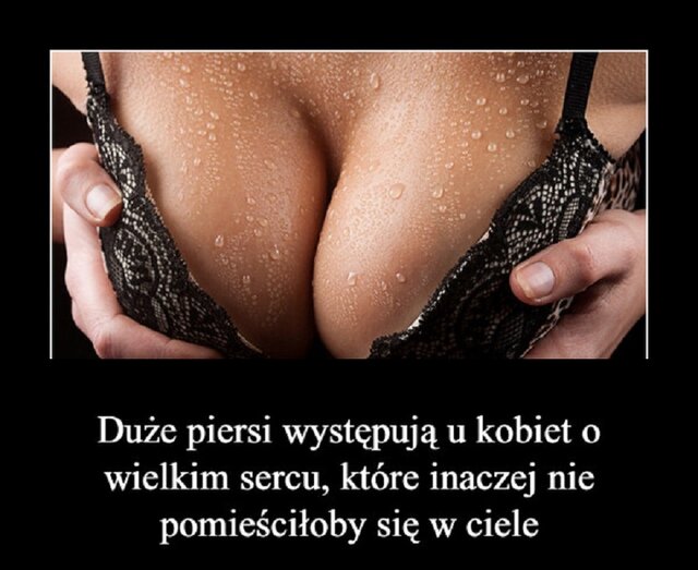 121212.jpg - wredota1987