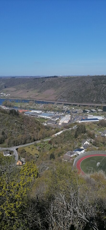 IMG_20210425_111439.jpg - Vmax436