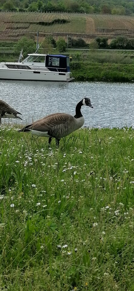 IMG_20210513_171055.jpg - Vmax436