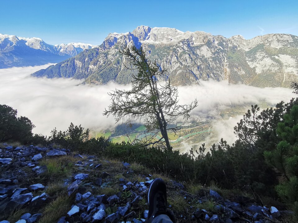 IMG_20211017_101143.jpg - djwebster