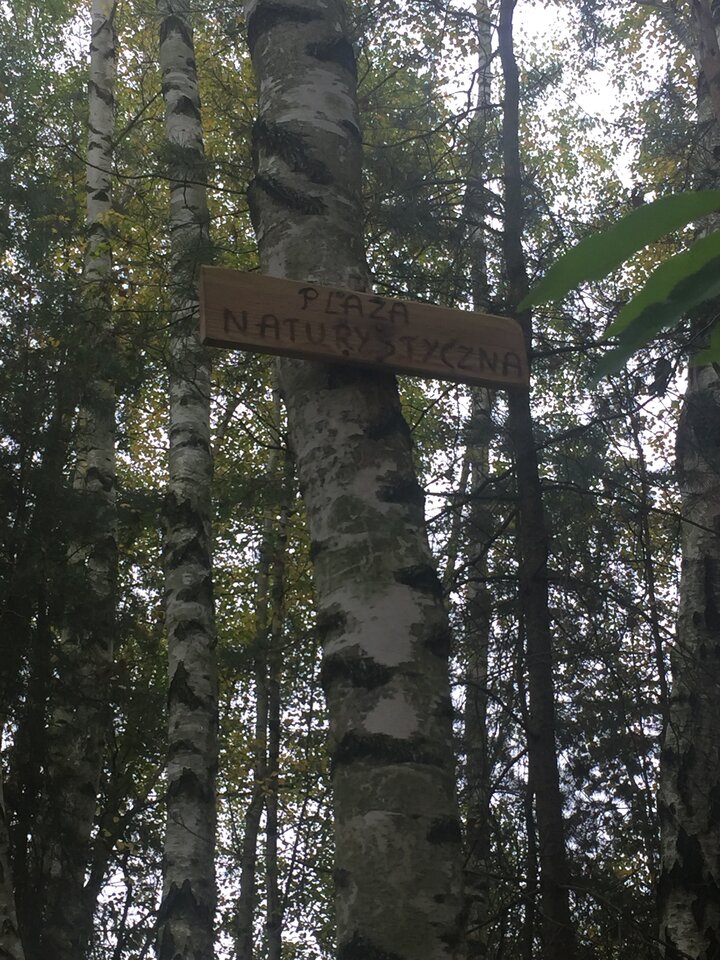 Jesienne zwiedzanie - naughty_couple9387