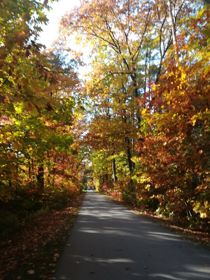 IMG_20211017_151836.jpg - wojtek198228