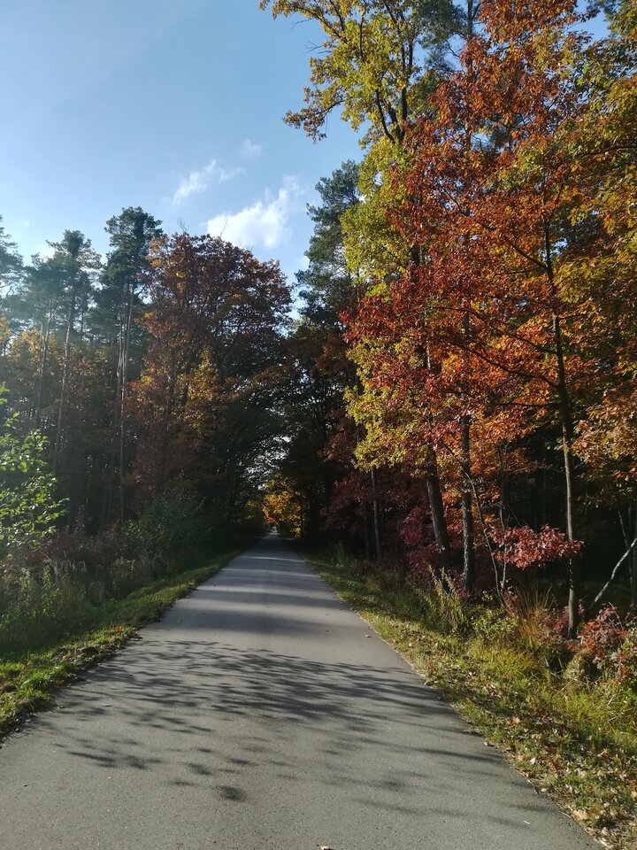 IMG_20211017_151215.jpg - wojtek198228