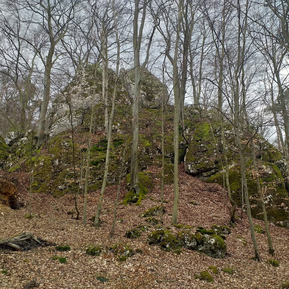 20210424_131936.jpg - OldGoodGuy