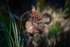 W jesiennym klimacie