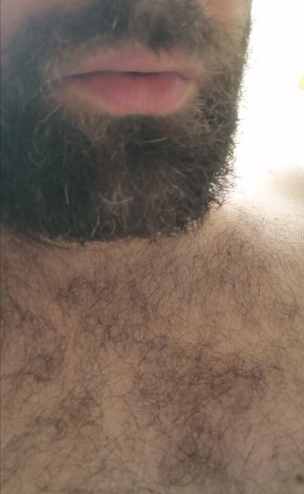 Niedźwiedź 😈 - M0tocyklista