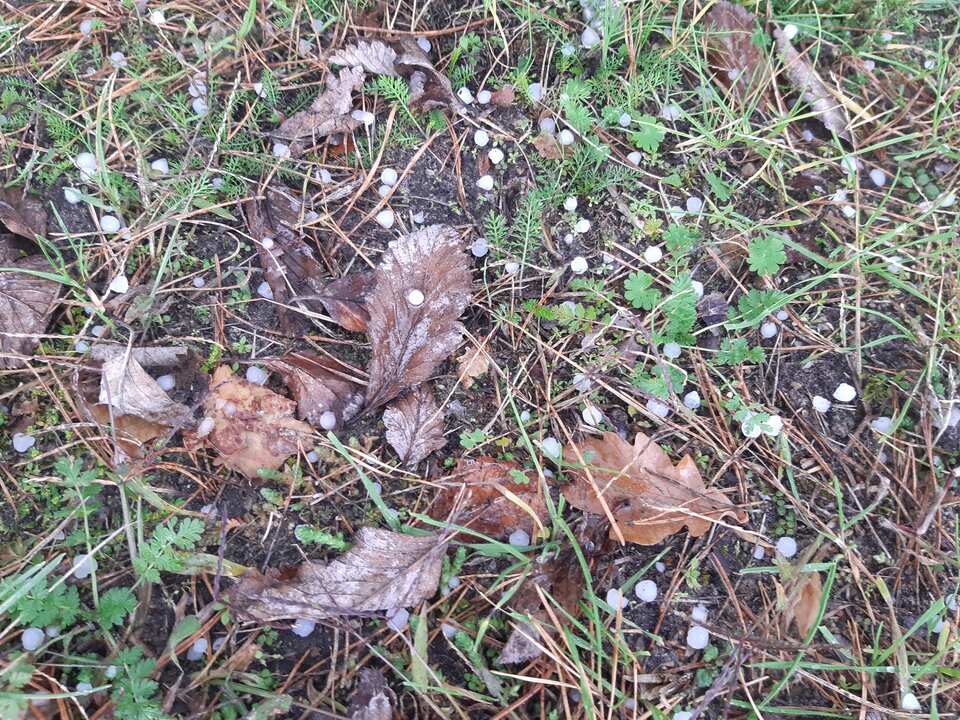 20211013_124925.jpg - torii99