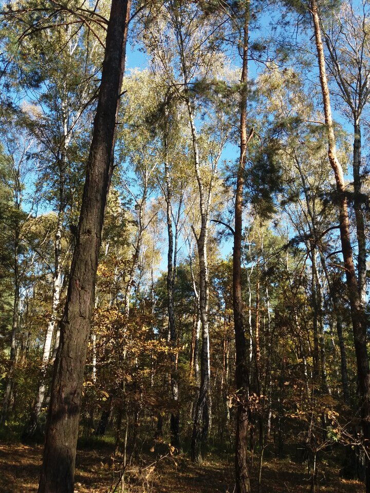 20211009_101342.jpg - glodna123