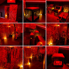 Sala BDSM w clubie Ray