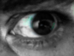 D83D57D4-E21C-445D-A7A5-A73B374991D1.jpeg