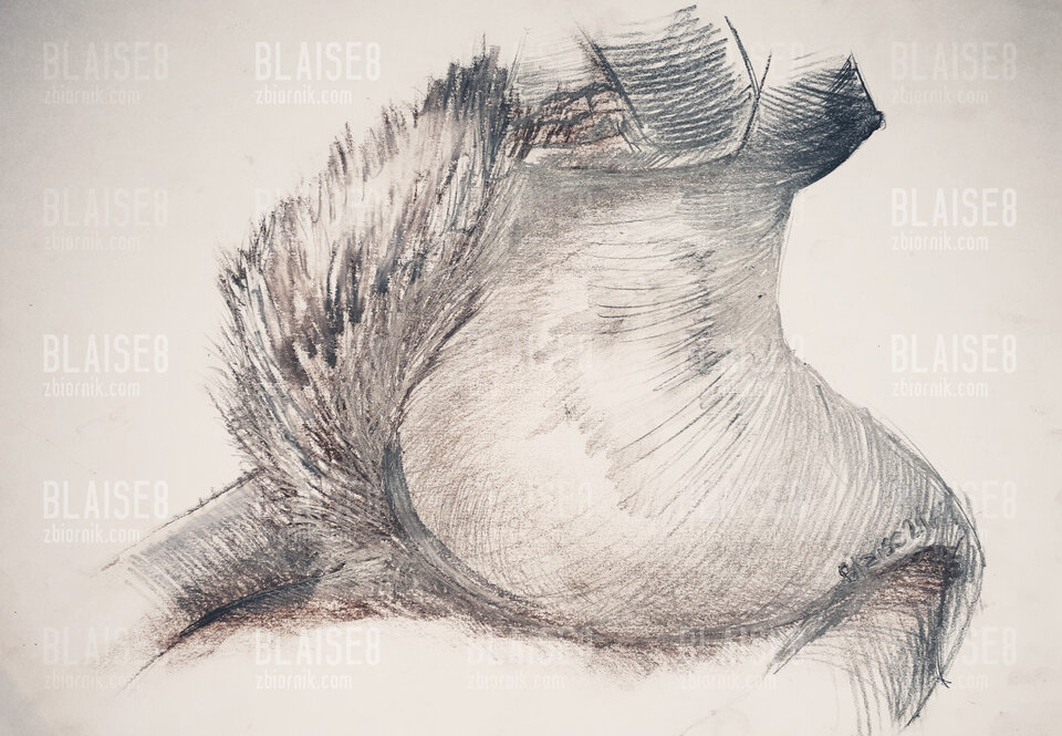 Art. No. 109 - blaise8