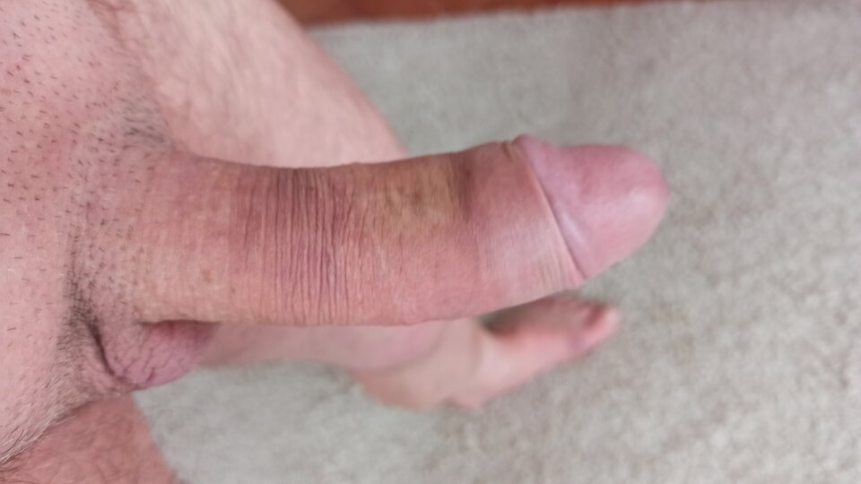 IMG_20211016_165313.jpg - artur42wawa