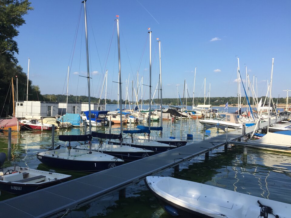 Berlin Wannsee - falcons