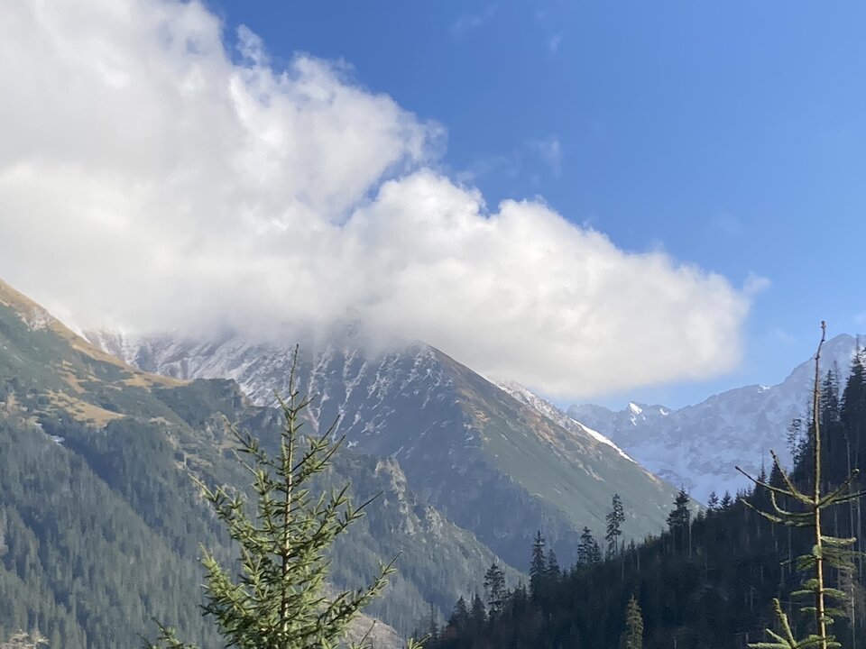 280A9A44-415E-48A3-BCC7-B4B65AF07548.jpeg - browar79