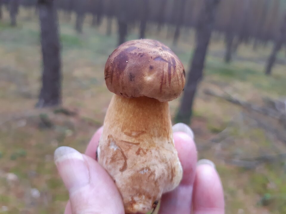 20211020_162123.jpg - torii99