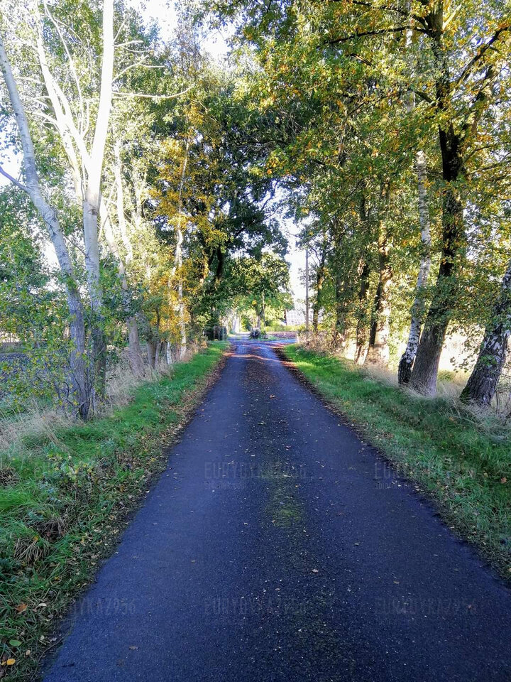 FB_IMG_1634830179493.jpg - Eurydyka2956