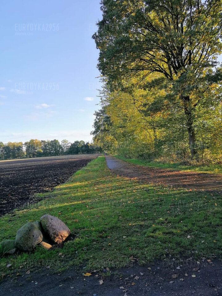 FB_IMG_1634830721282.jpg - Eurydyka2956