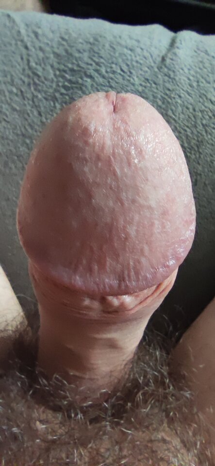 IMG_20211023_100754.jpg - janciomuzykant