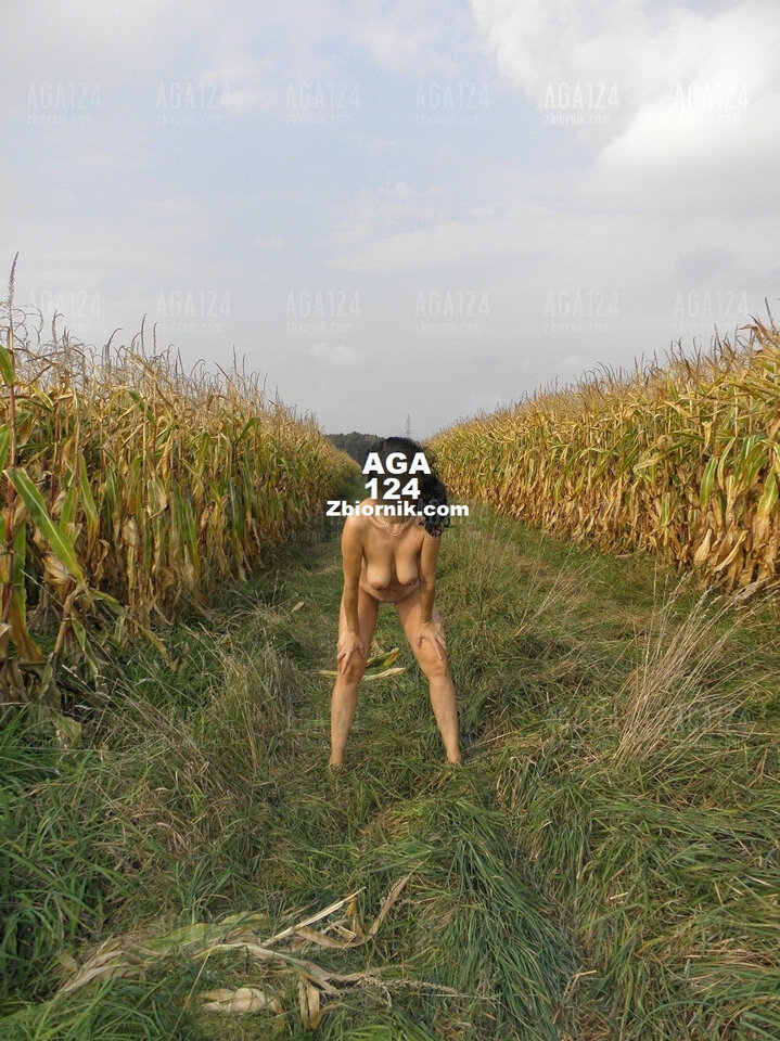 W kukurydzy - aga124
