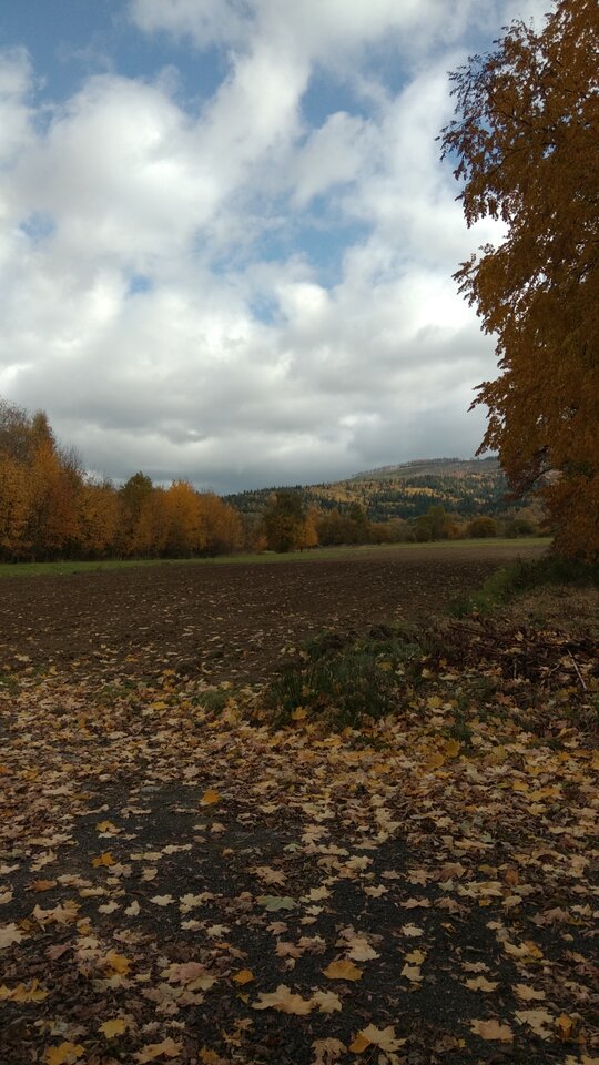 IMG_20211023_114649.jpg - Krzysk45