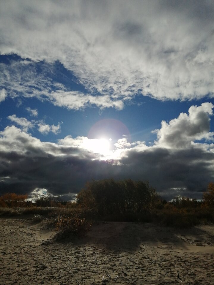 IMG_20211023_145156.jpg - Frelka_ze_wsi