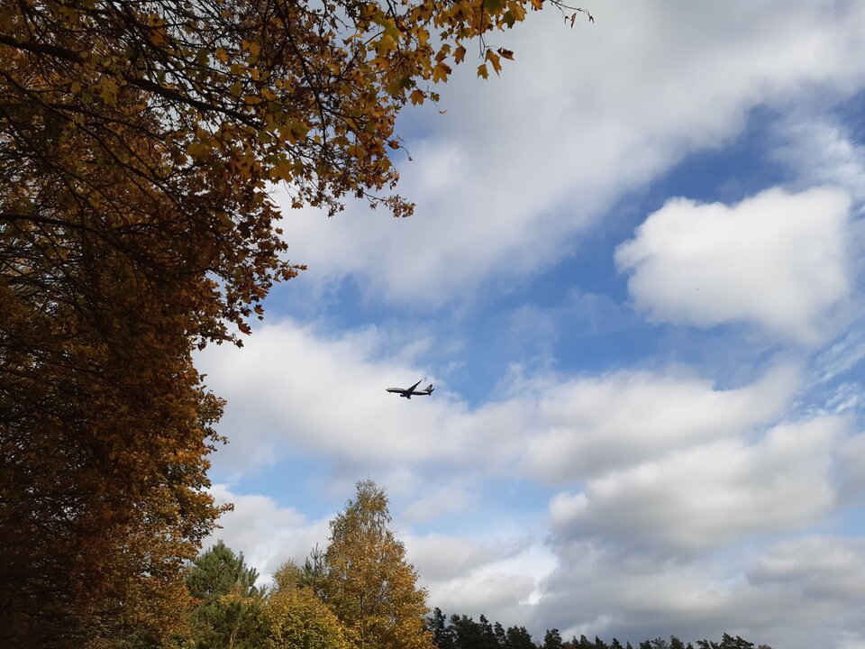 20211017_140723.jpg - torii99