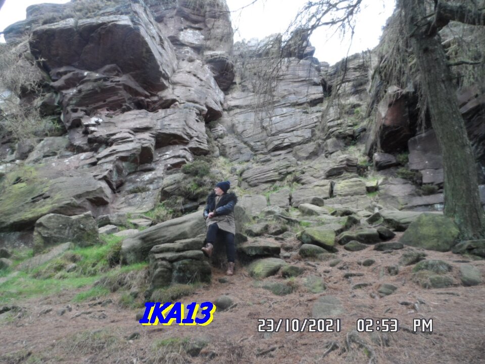 SAM_3799.JPG - ika13