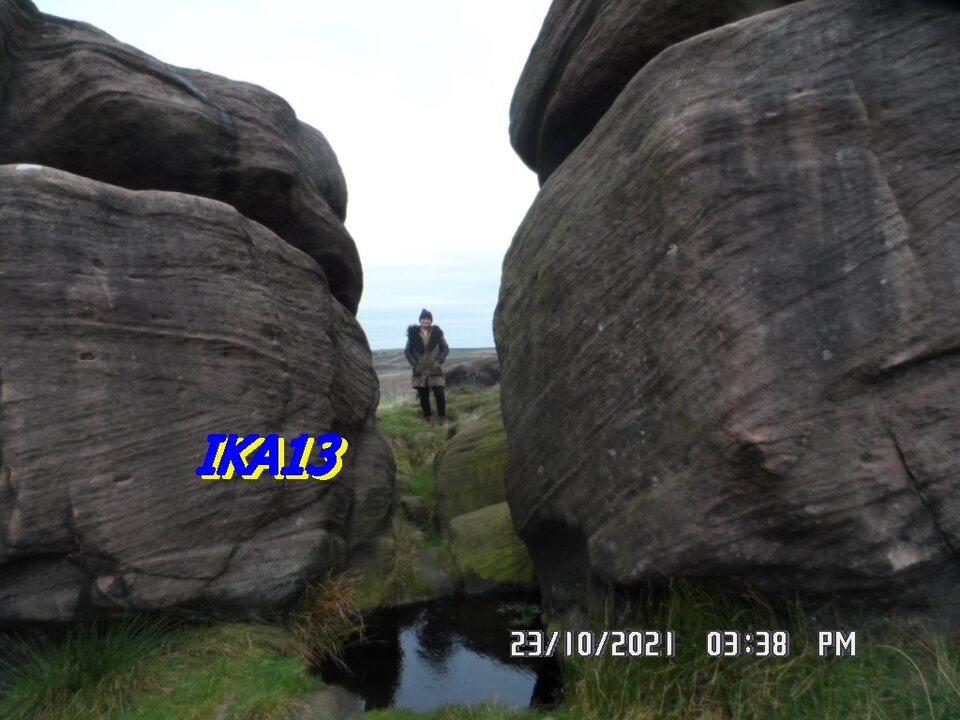 SAM_3805.JPG - ika13