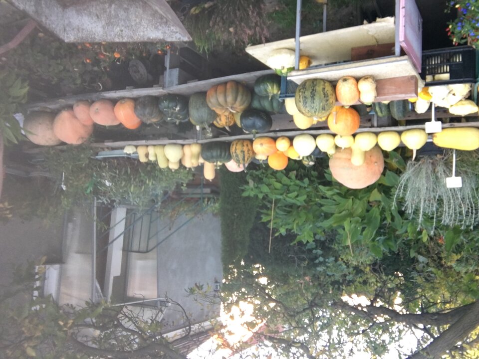 DCE1349F-422F-47D8-BA80-3CB50C5D287C.jpeg - Bogo1986