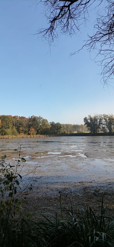 IMG_20211024_092542.jpg - Vmax436