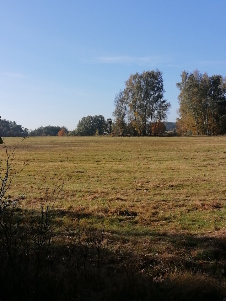 2021-10-2410.21.423099334168663277935.jpg - Vmax436