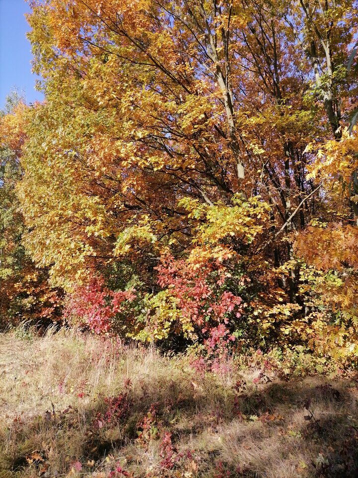 2021-10-2410.23.335164944737395149148.jpg - Vmax436