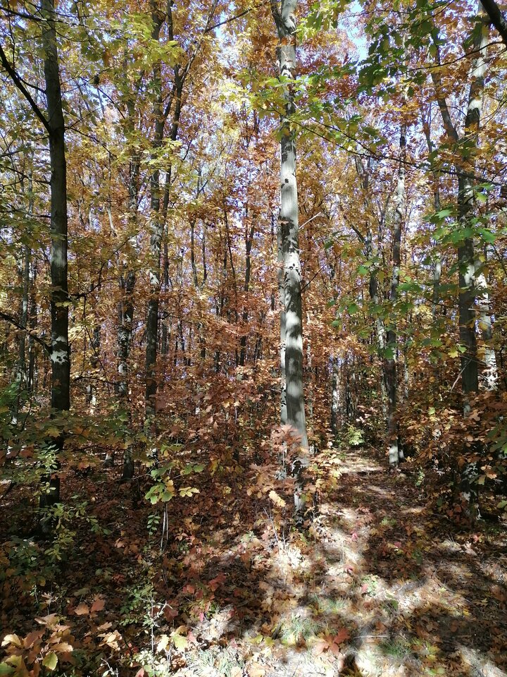 2021-10-2410.25.205539573929624517283.jpg - Vmax436