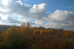 IMG_20211024_132203.jpg