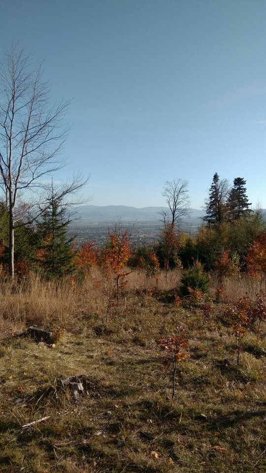 IMG_20211024_145813.jpg - Krzysk45