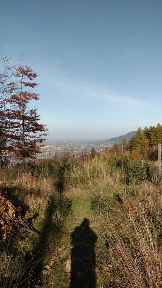 IMG_20211024_145906.jpg - Krzysk45