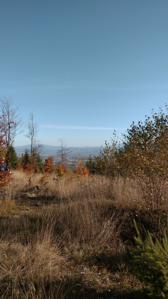 IMG_20211024_145952.jpg - Krzysk45