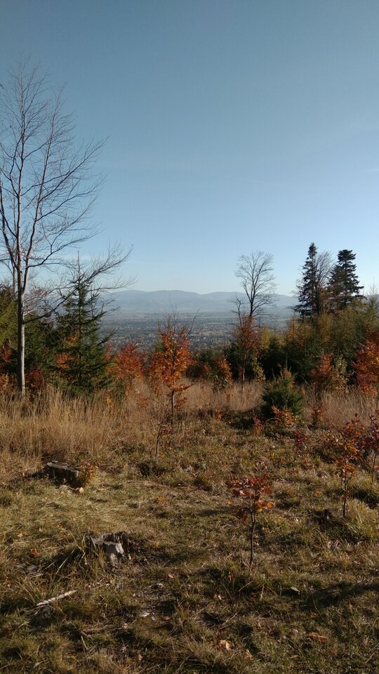 IMG_20211024_145812.jpg - Krzysk45