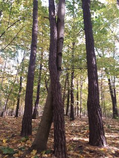 20211024_121812.jpg