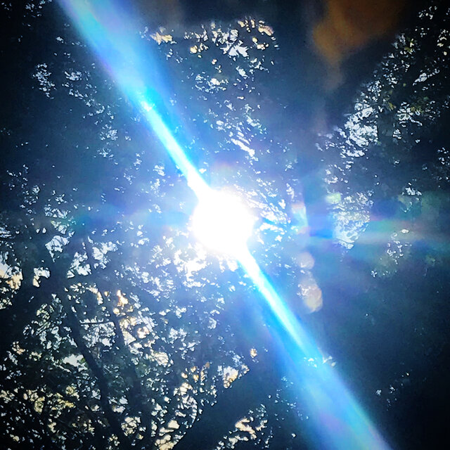 Mekagojiranogyakushu