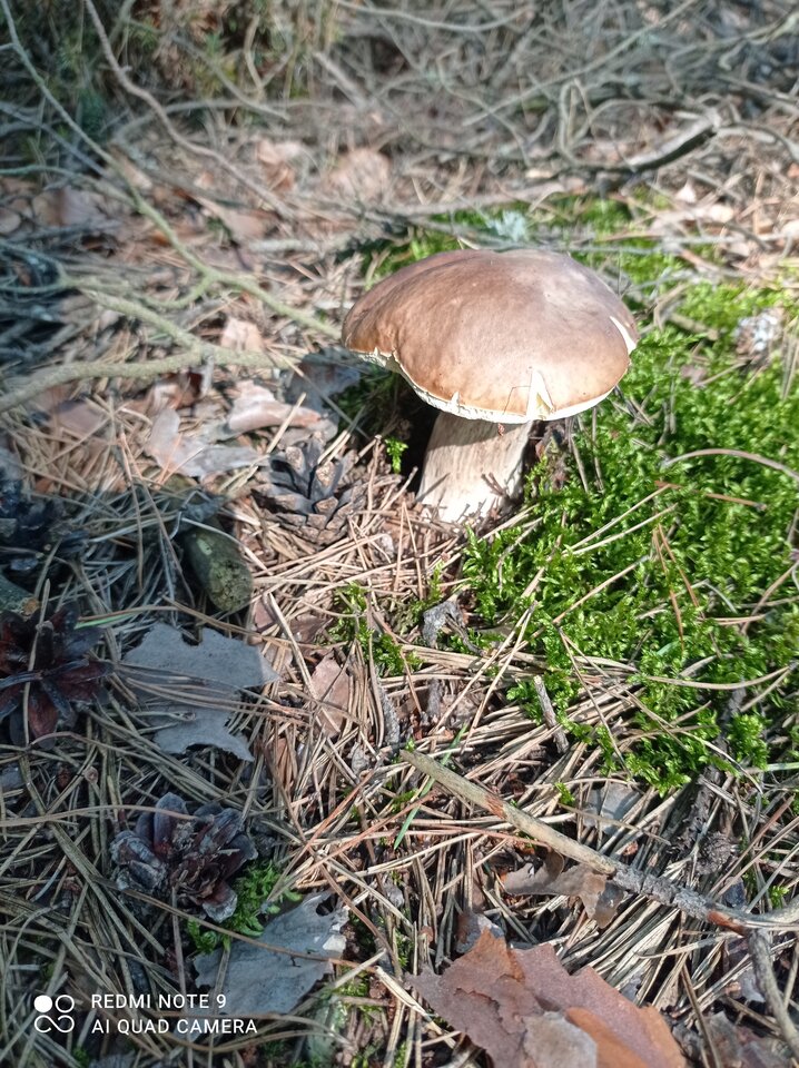 IMG_20210909_140814.jpg - SpioszekZboczek