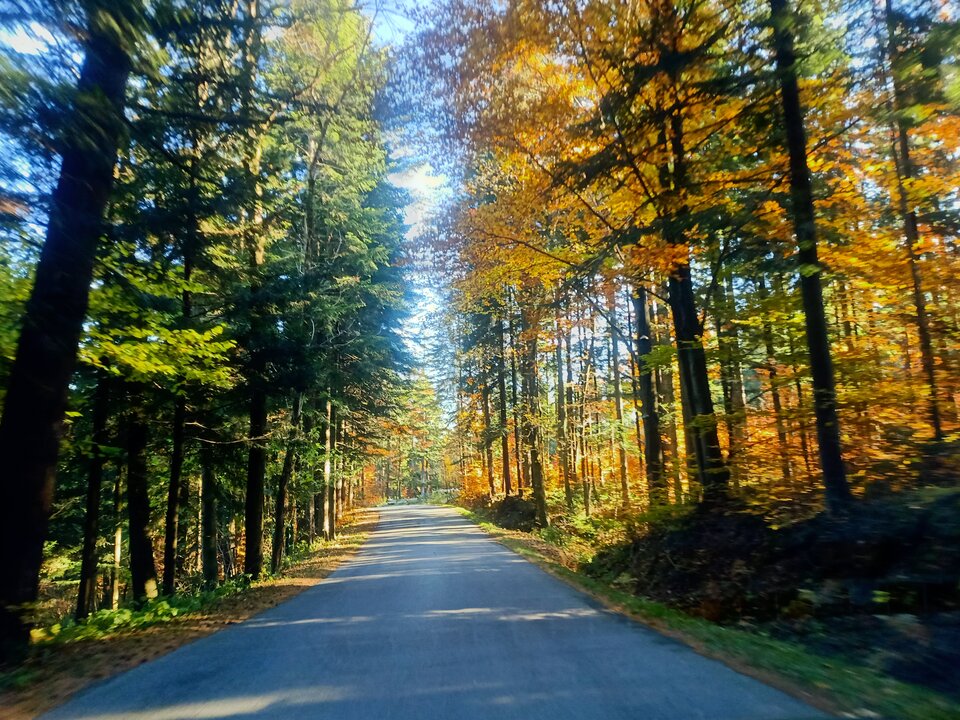 IMG20211025095234.jpg - 19Kasia75