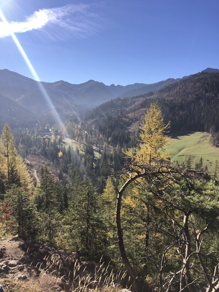 E6056C32-CCA8-4987-A49D-3EA9F5509985.jpeg - bodydry