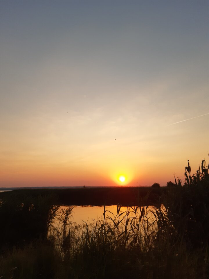 20210618_210747.jpg - torii99