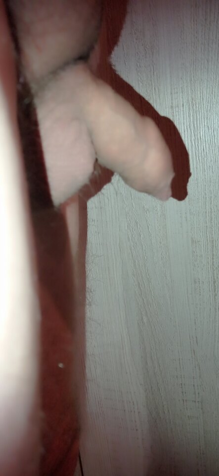 IMG_20211025_212237.jpg - dupekalex