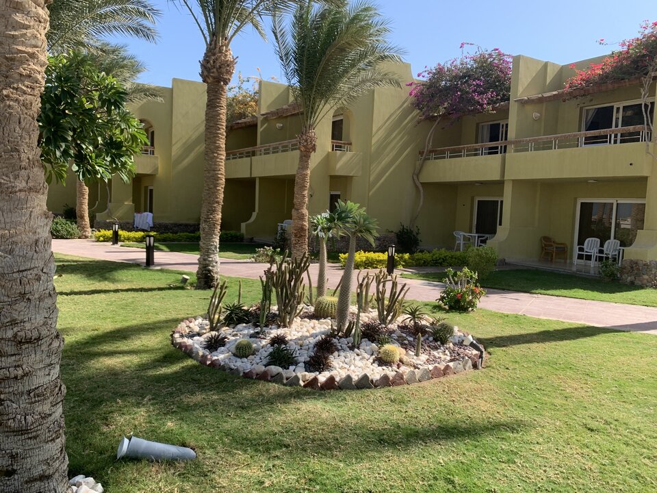 CAEF3E7F-2C68-4C38-8CEA-8CAA276FC198.jpeg - nrw670n